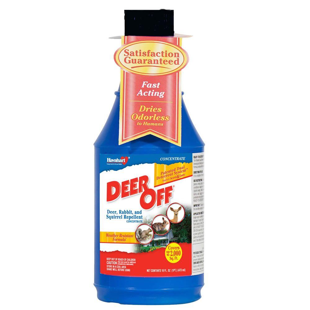 Deer Off 16 oz. Deer, Rabbit and Squirrel Repellent Concentrate-DF16CT