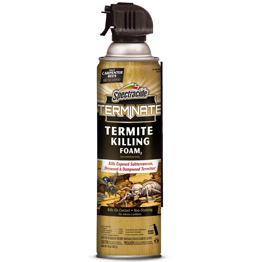 Are You Selling Your Home Has Your Potential Buyer Requested That You Get A Termite Letter Before They Agree T Termites Termite Control Termite Treatment Cost