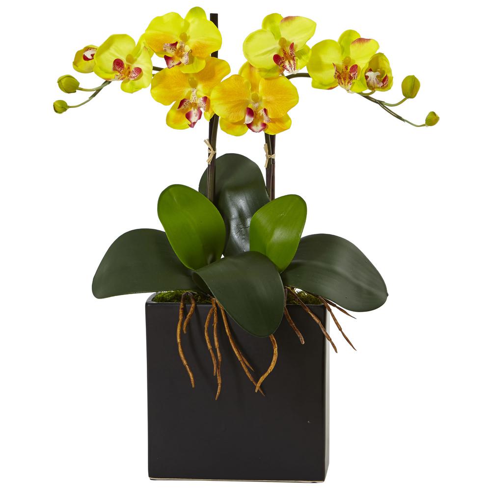 buy silk orchids