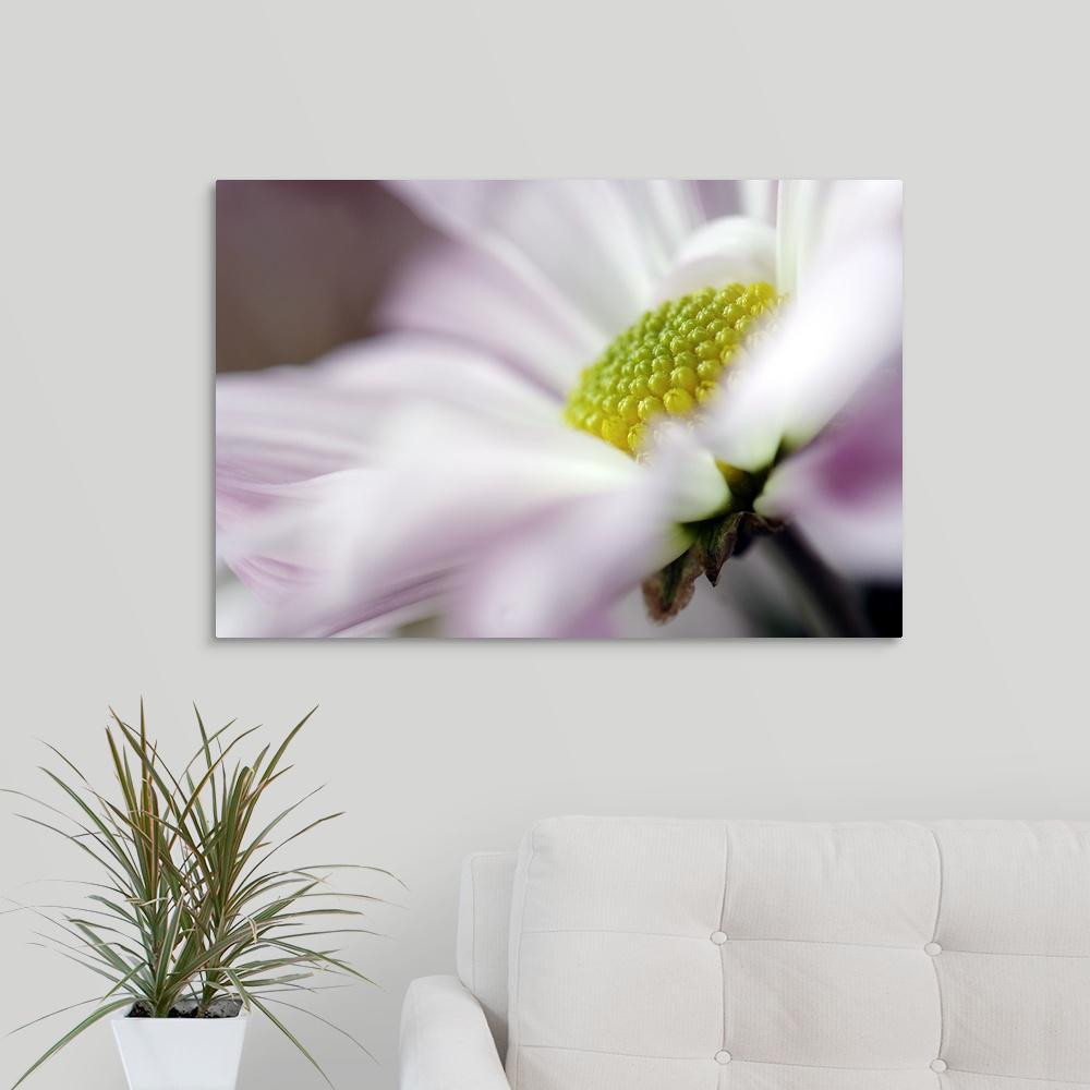 30 In X 20 In Stamen Of White Daisy With Hint Of Purple By Mike Moats Canvas Wall Art - 