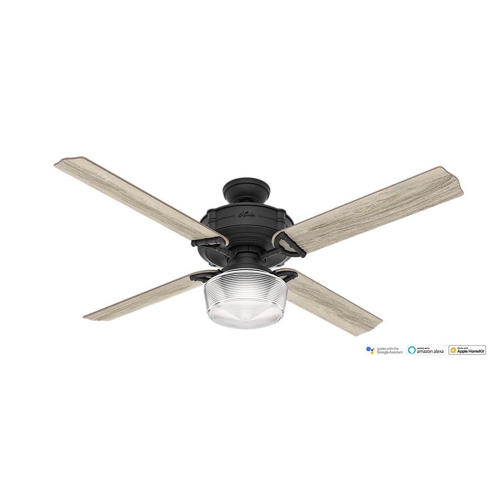 Wifi Enabled Ceiling Fan 28 Images Fans Wifi Enabled Ceiling Fan By Brunswick 60 In Led Indoor Iron Wi Fi