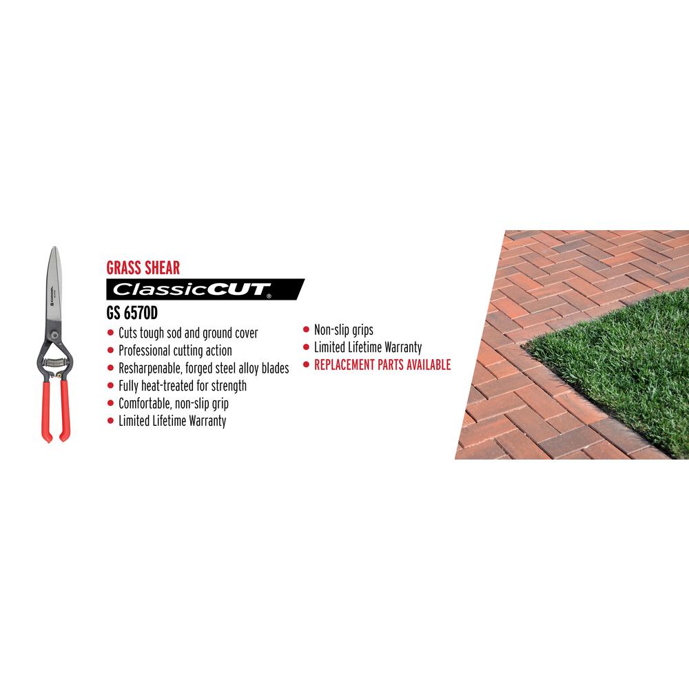 How To Get Rid Of Bed Bugs