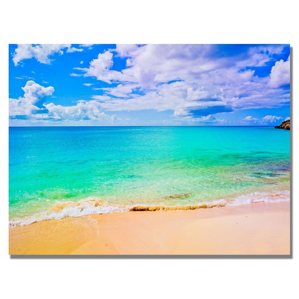 24 In X 32 In Maho Beach Canvas Art