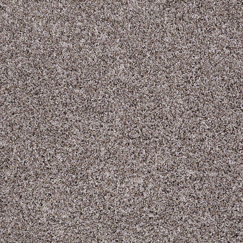 Home Decorators Collection Carpet Sample Eden Cove In Color