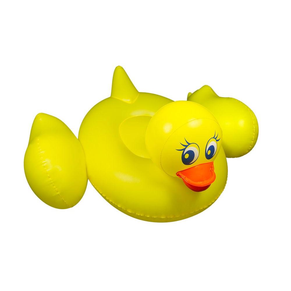 duck pool toy