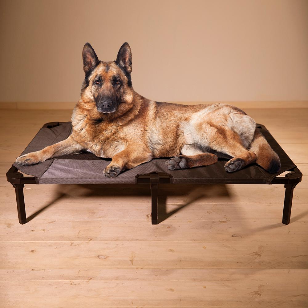 large dog cot bed