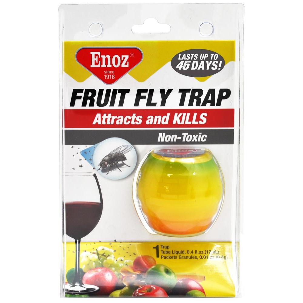 Enoz Fruit Fly Trap (3-Pack) by Enoz