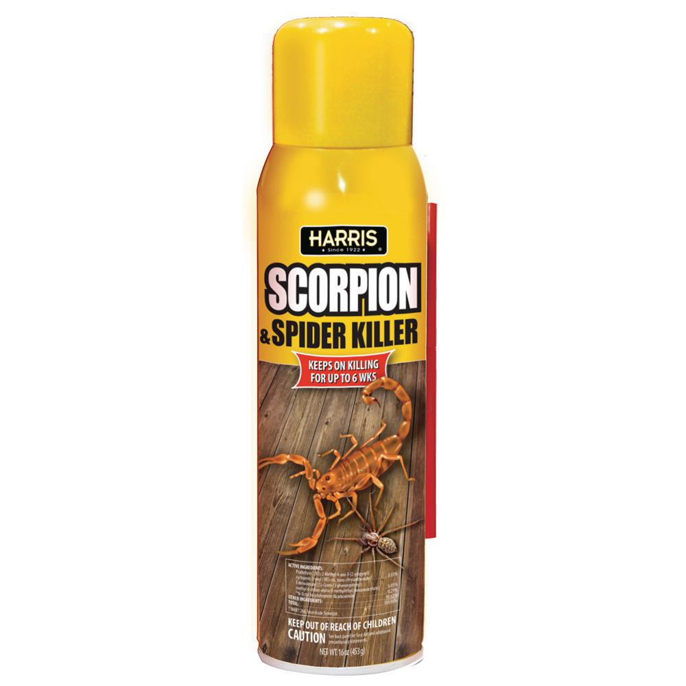 scorpion spray