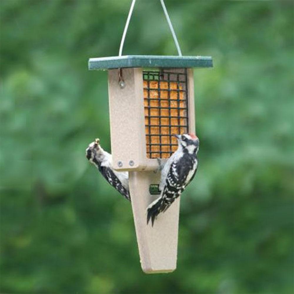 Birds Choice Taupe And Green Tail Prop Single Suet Wild Bird