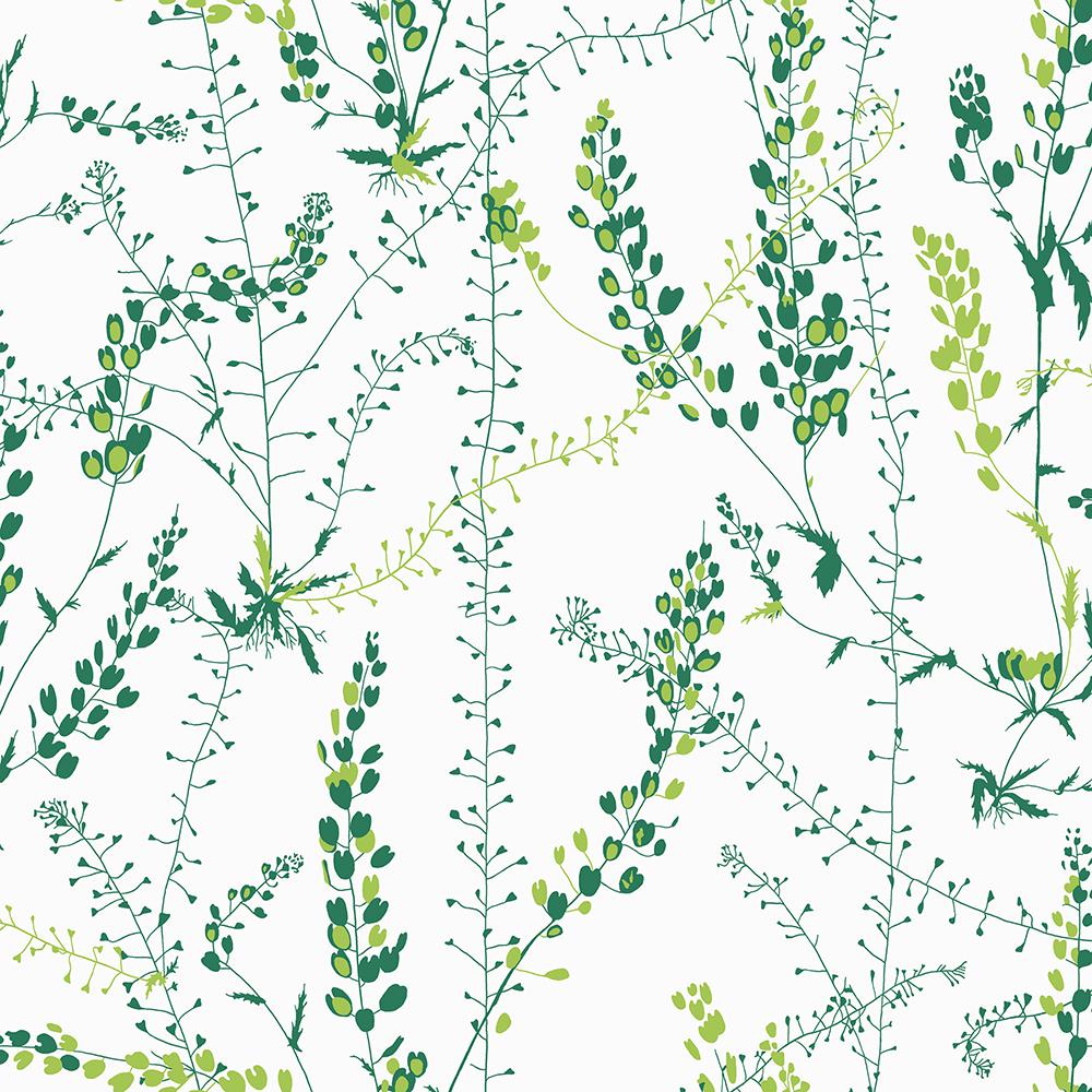 Brewster 57 8 Sq Ft Bladranker Green Botanical Wallpaper Wv1787 Bladranker Green Botanical Wallpaper