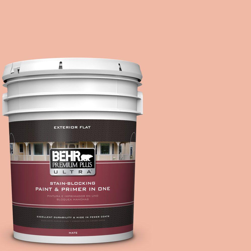 BEHR Premium Plus Ultra 5gal. 220C3 Antique Cameo Flat Exterior
