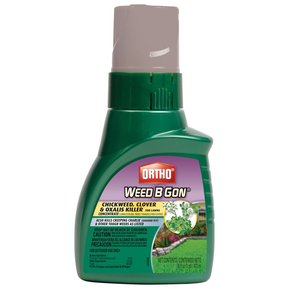 Ortho Weed B Gon 16 oz. Chickweed, Clover, Oxalis Killer for Lawns