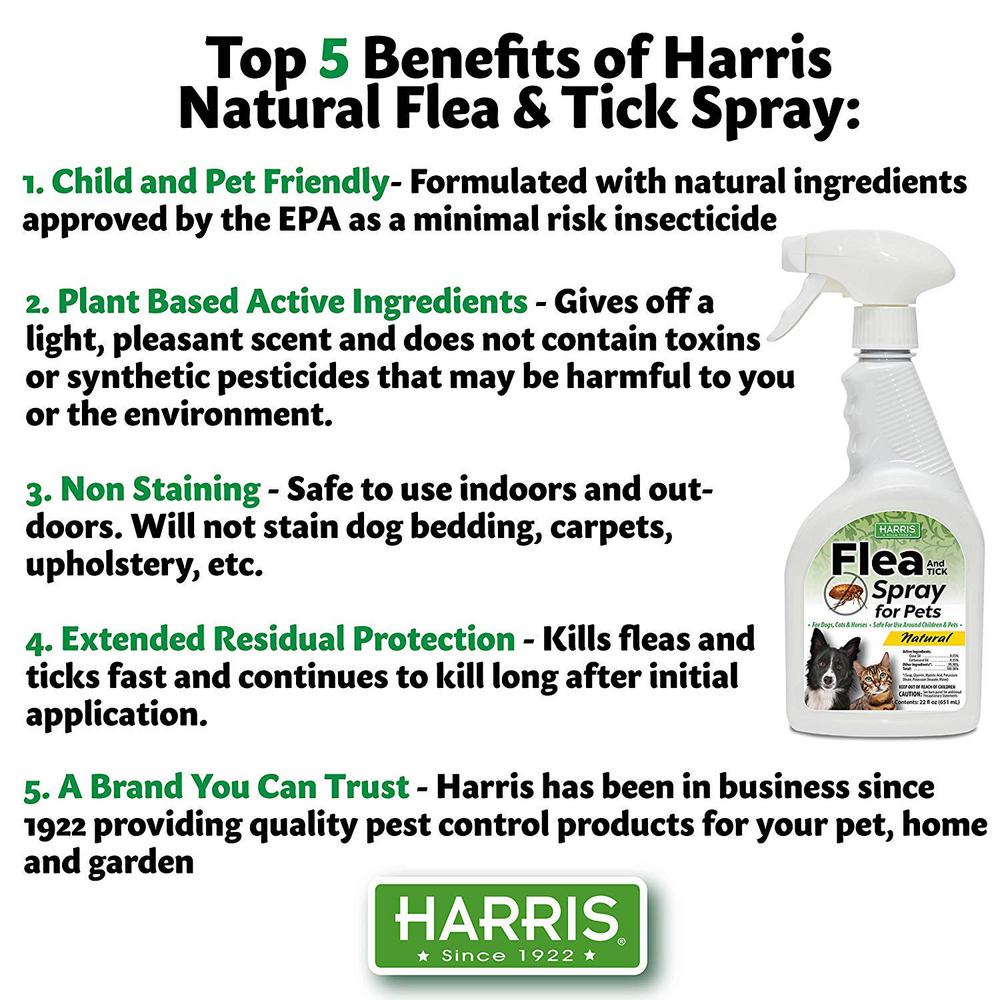 out natural flea spray