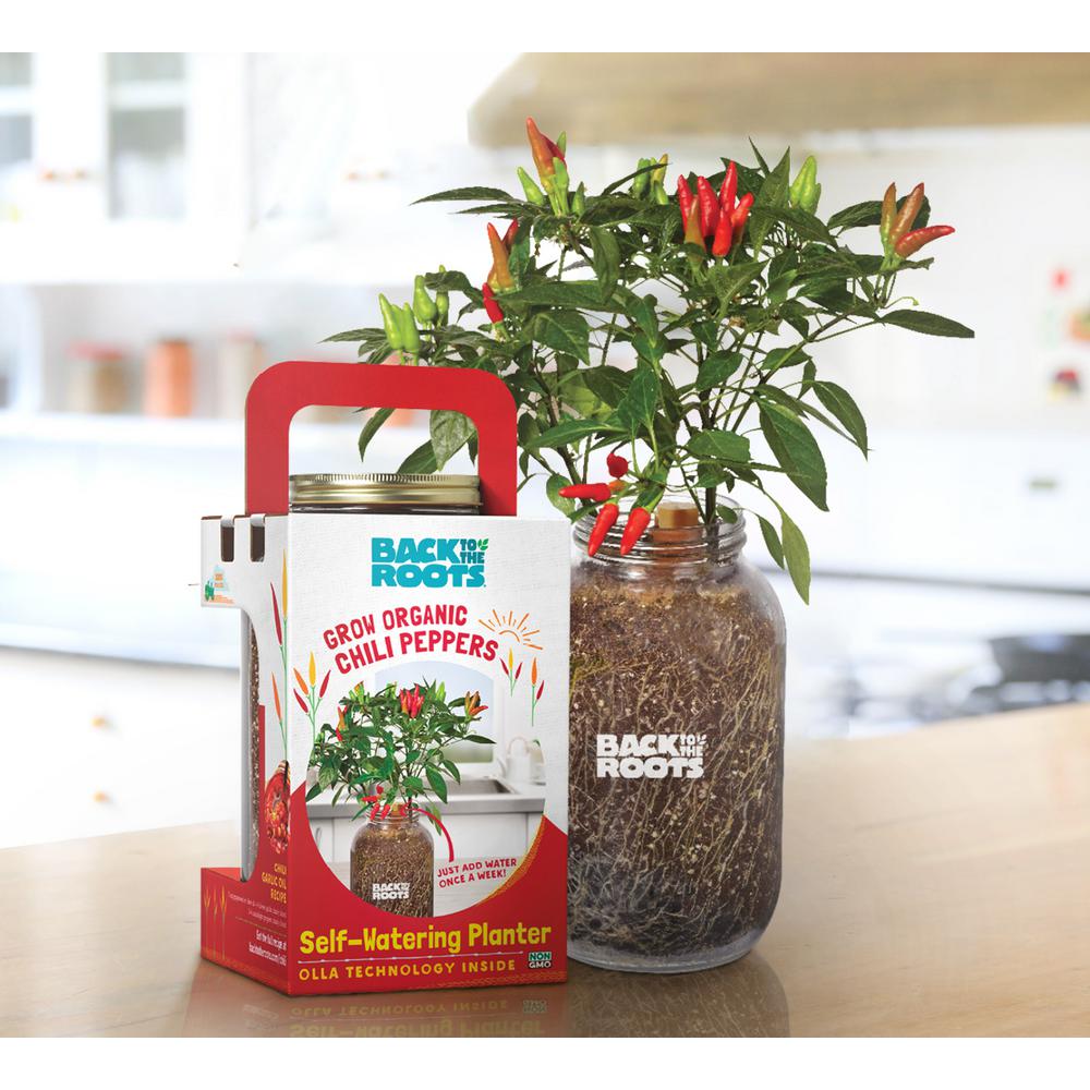 Vegetable Plants Edible Garden The Home Depot Self Watering Planter Organic Chili Pepper