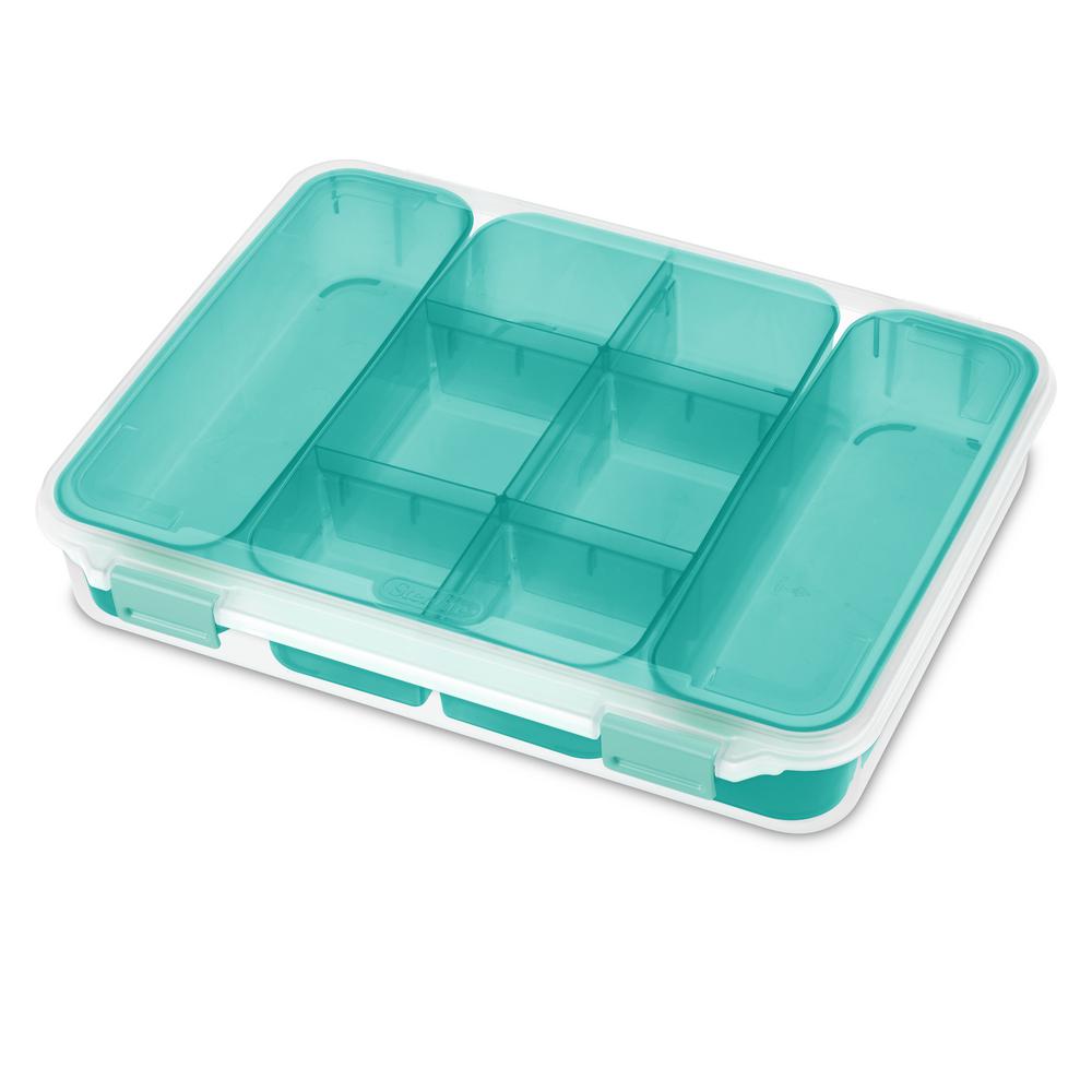 Sterilite Large Divided Case