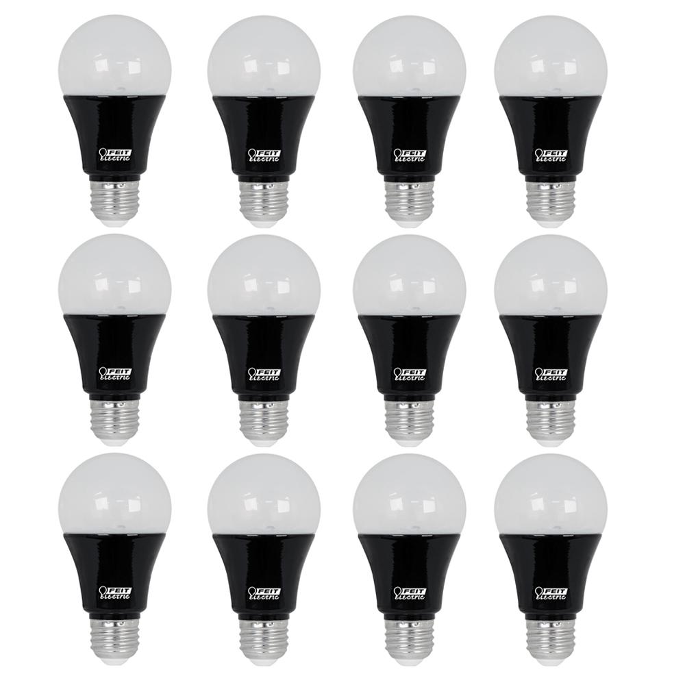 small black light bulbs