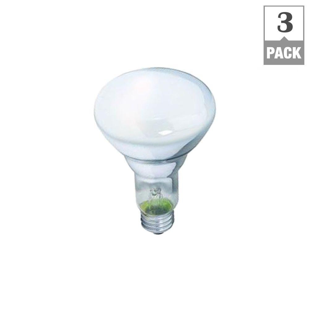 Philips 65-Watt Incandescent BR30 Indoor Flood Light Bulb (3-Pack ...