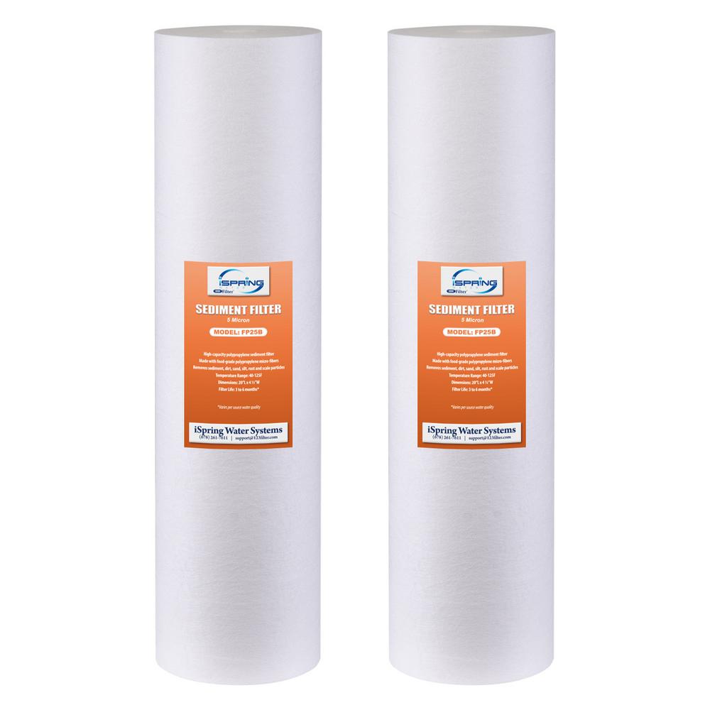 iSpring FP25BX2 Big Blue Whole House Water Filter with 4.5-Inch Diameter and 20-Inch Length, 2-Pack