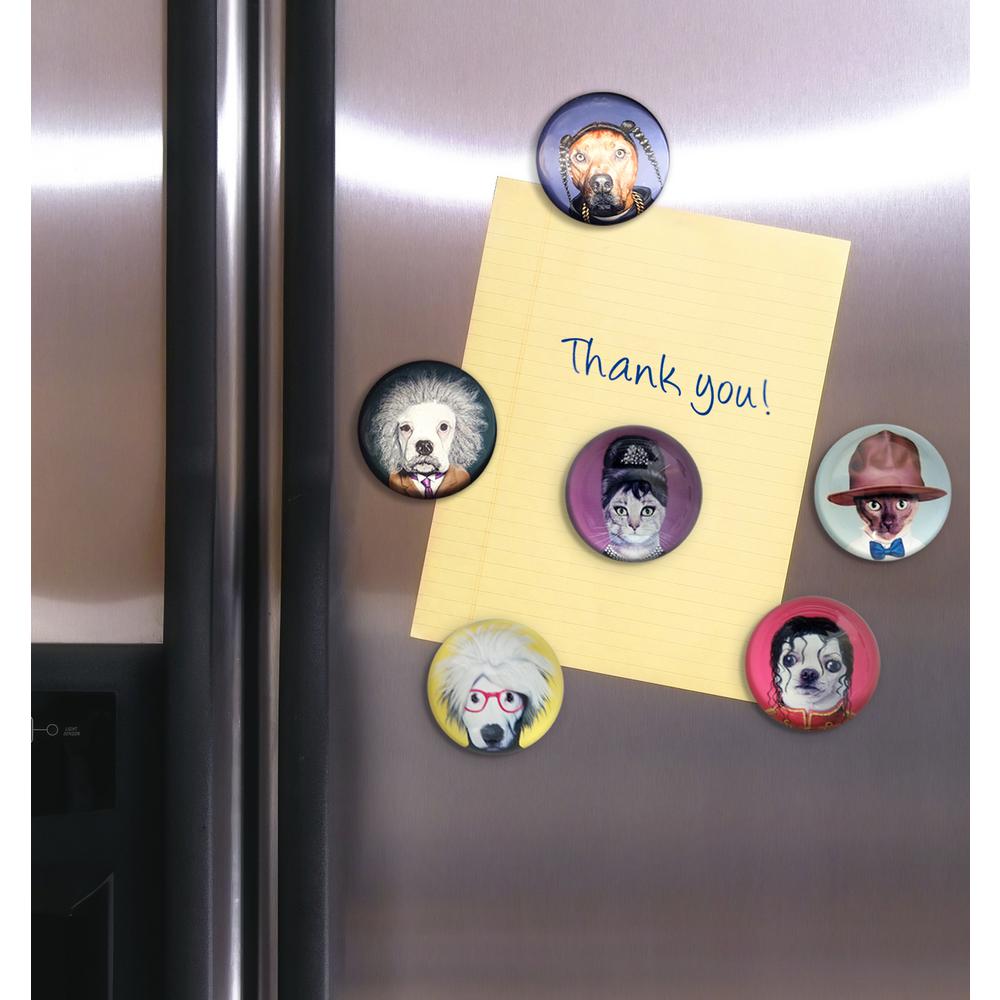 Pets Rock 1.5 in. Dia Magnets Set of 6 Characters in Gift Box was $28.2 now $18.03 (36.0% off)