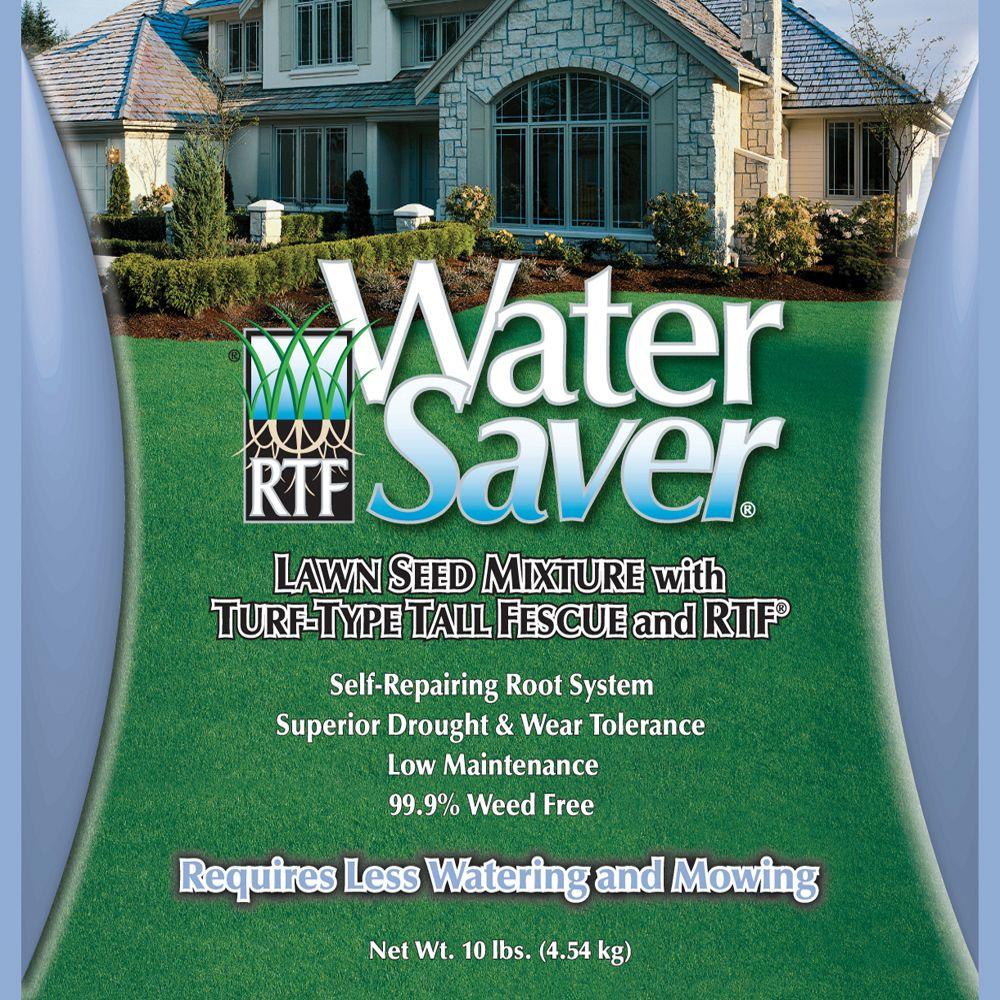 Southeast Fescue Grass Seed Lawn Care The Home Depot Tall Fescue Grass Seed