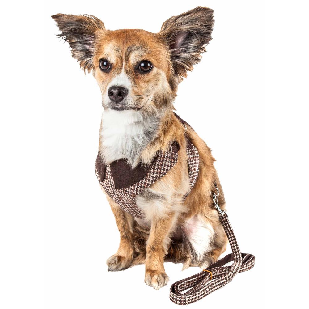 dog harness and leash