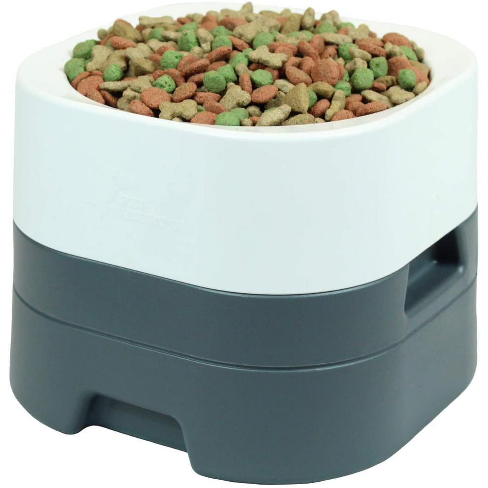 disposable cat food bowls