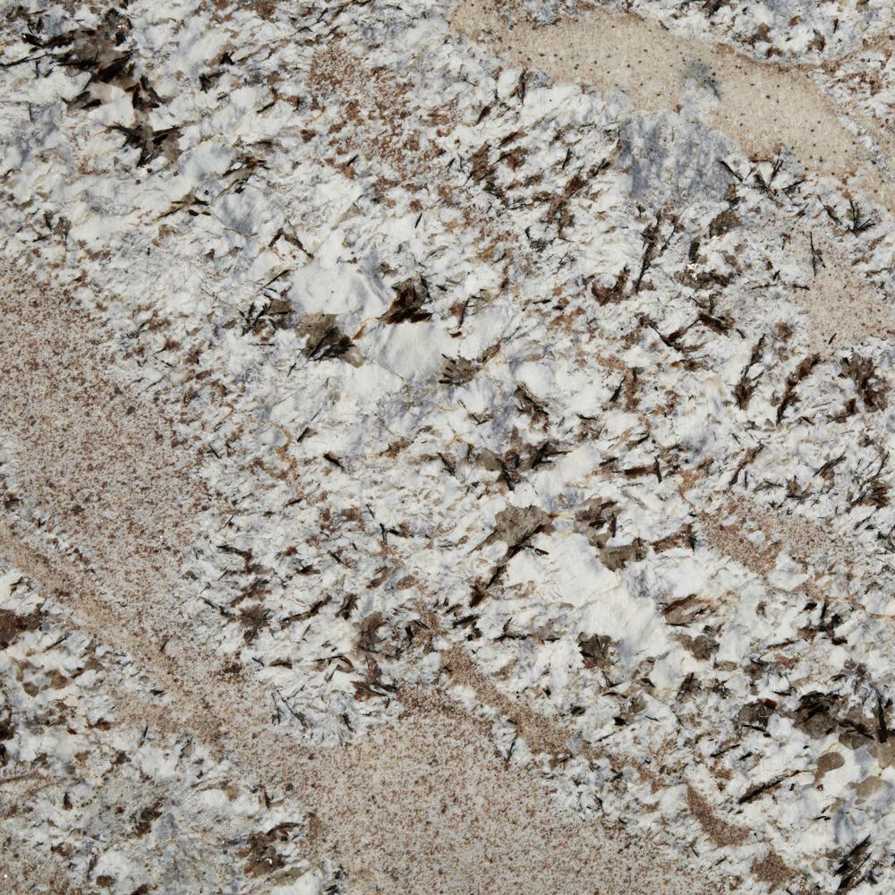 Stonemark 3 In X 3 In Granite Countertop Sample In Silver Lennon