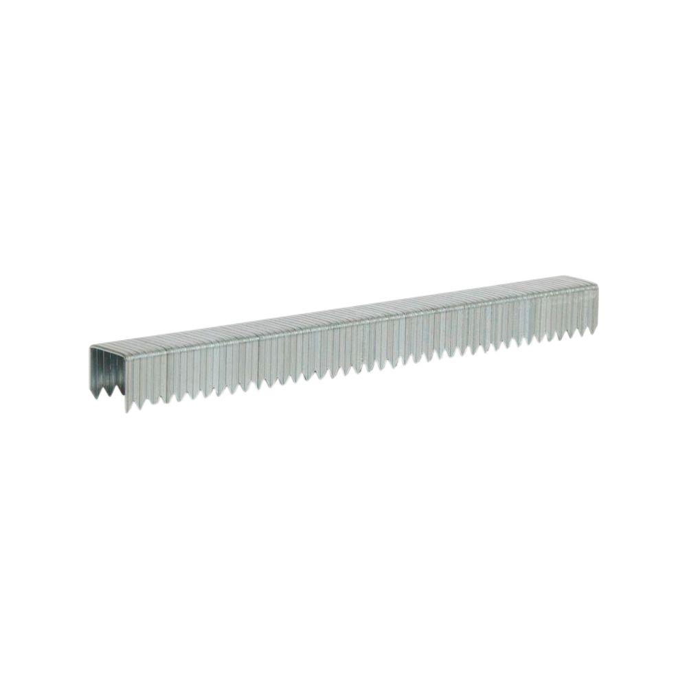 Arrow Fastener T50 3/8 in. Leg x 3/8 in. Crown Galvanized Steel Staples