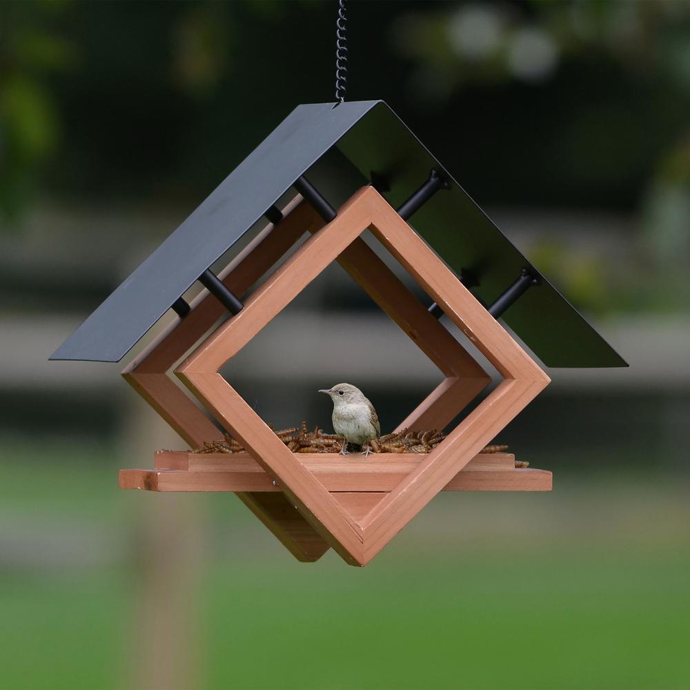 Perky Pet Architect Hanging Wood Bird Feeder 1 4 Cup Capacity