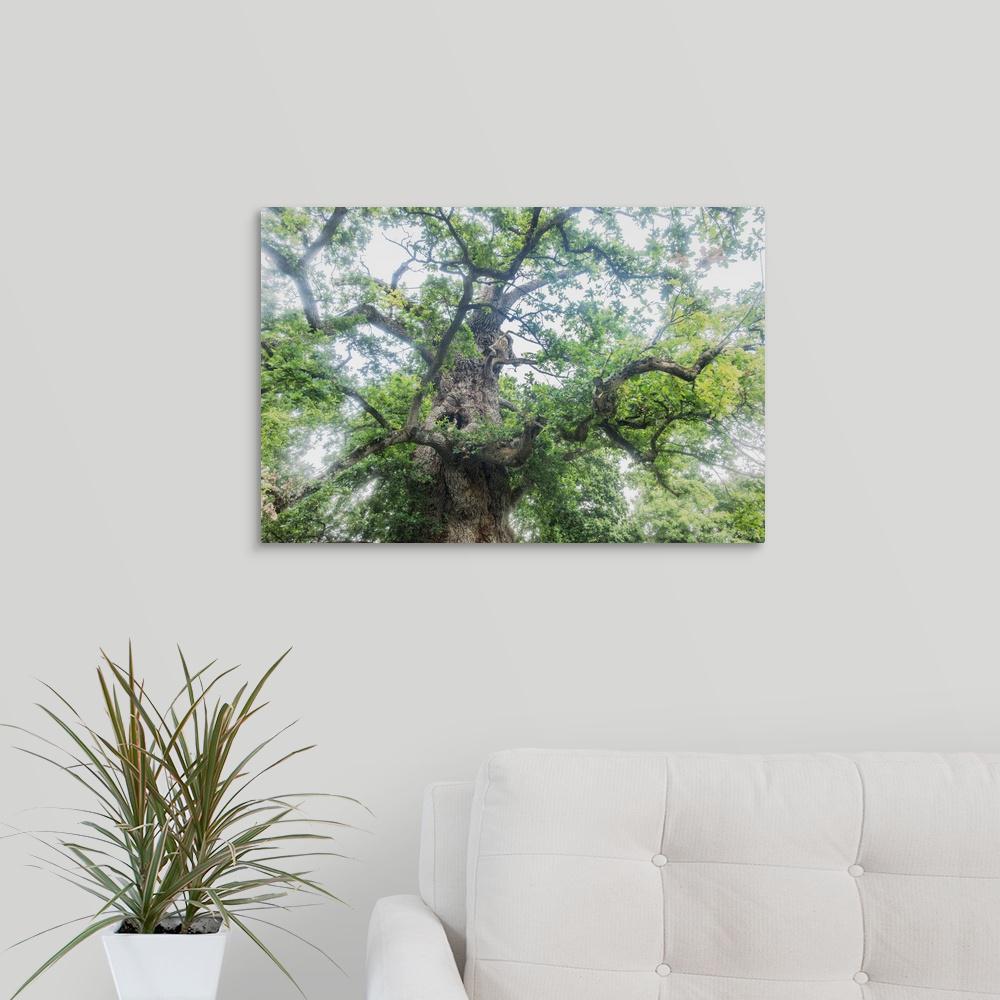 Greatcanvas The Old Oak By Philippe Manguin Canvas Wall Art Greatcanvas The Old Oak By Philippe Manguin Canvas