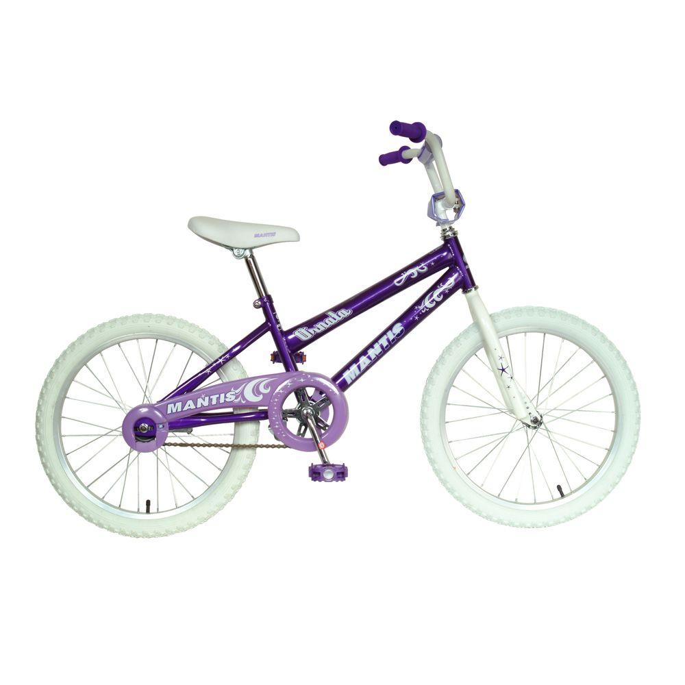 20 inch wheel girls bike