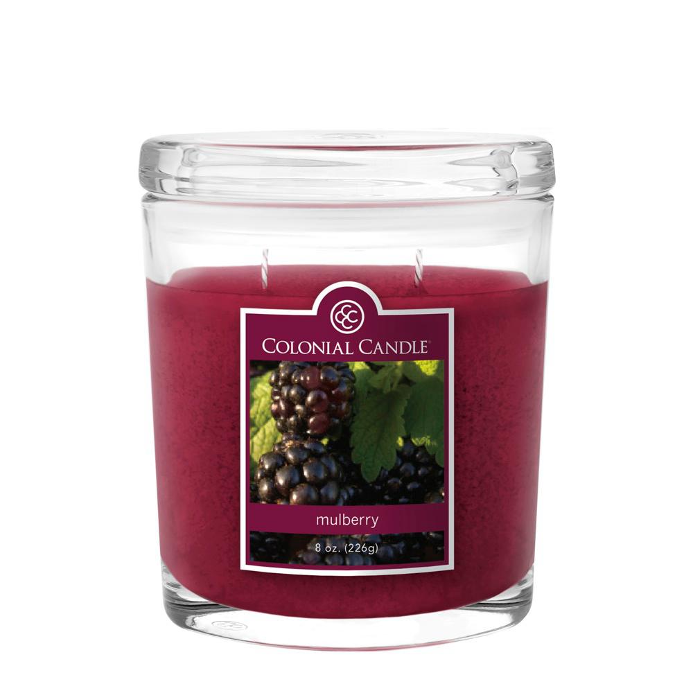 UPC 048019625791 product image for 8 oz. Mulberry (Pink) Oval Jar Candle | upcitemdb.com