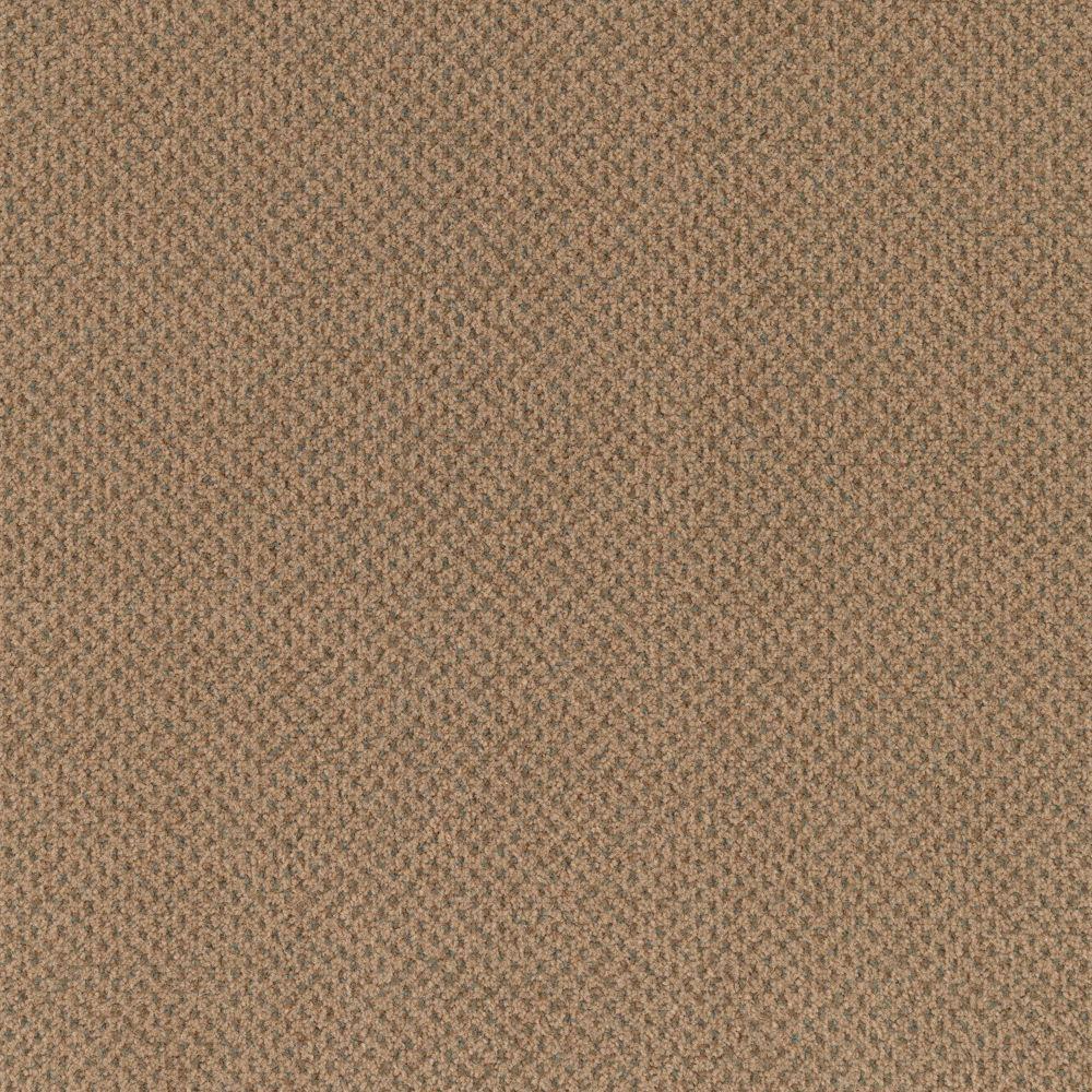 Trafficmaster Carpet Sample Market Share Color Heather Moon Carpet Sample Market Share Color Heather Moon Pattern 8 In X