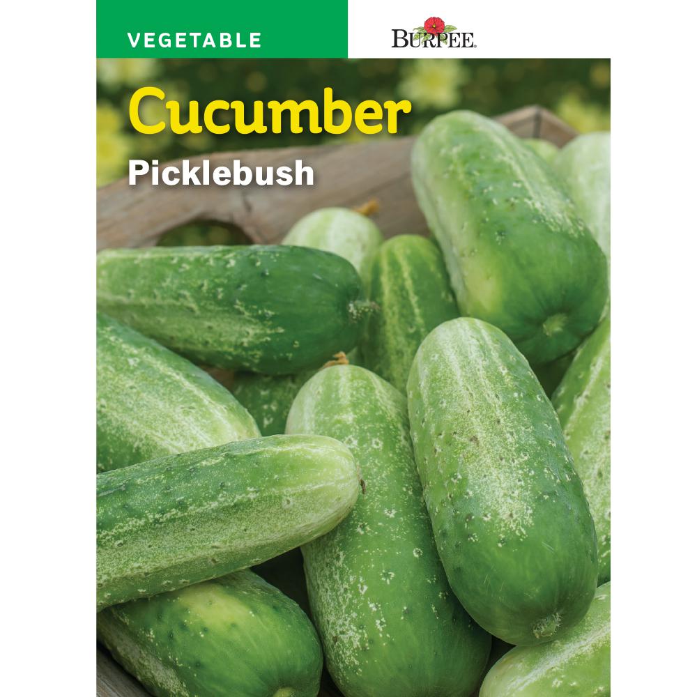 Burpee Cucumber Picklebush Seed-65896 - The Home Depot