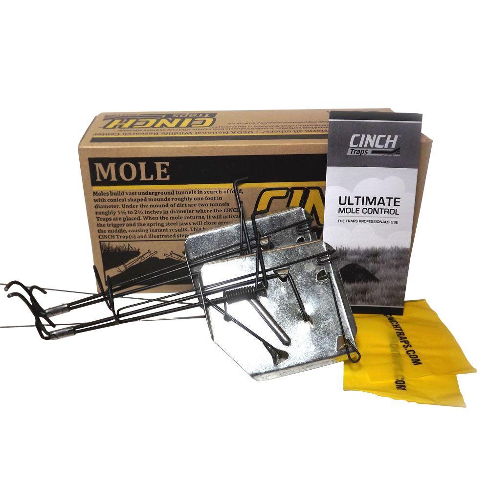 Photo 1 of 3 in. Large Mole Kit