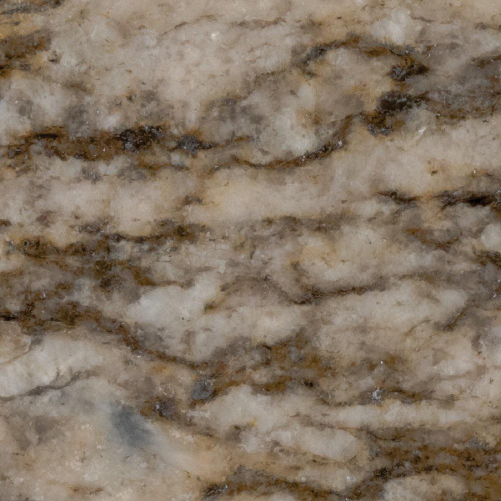 Stonemark 3 In X 3 In Granite Countertop Sample In Savanna Gold