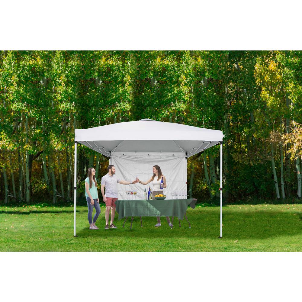 Includes Steel Frame Side Wall Water Resistant and UV-Protected Carrying Bag Black Vispronet 10ft x 10ft Instant Canopy Tent and Bonus Stake Kit