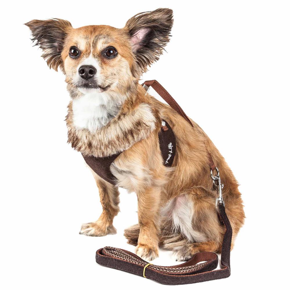 harness leash for small dogs