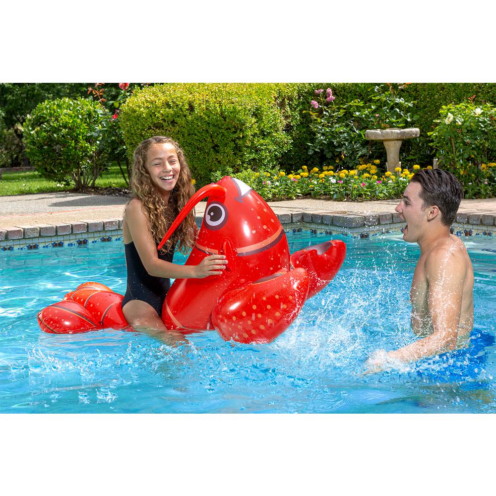 lobster floatie