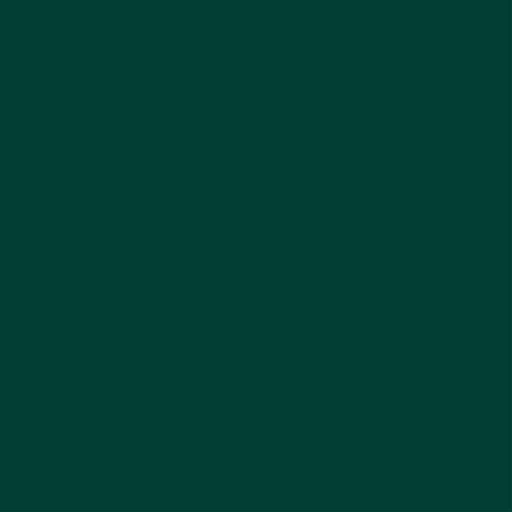 Andersen 400 Series Exterior Color Sample in Forest Green9118763 The