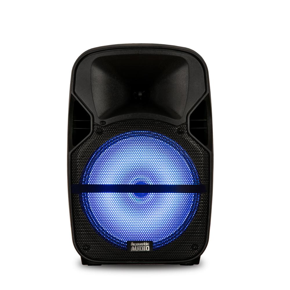 acoustic 12 inch speakers