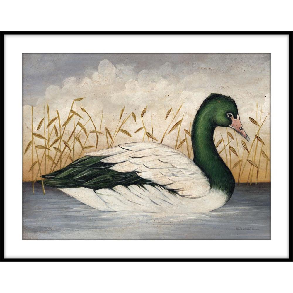 Ptm Images 9 75 In X 11 Magpie Goose Framed Wall Art