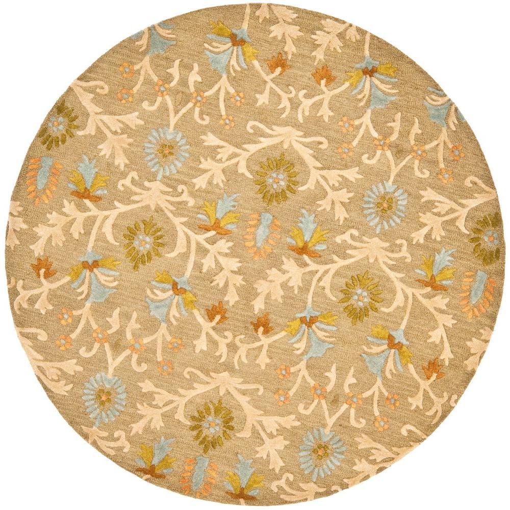 Safavieh Cambridge Moss/Multi 8 ft. x 8 ft. Round Area RugCAM235A8R