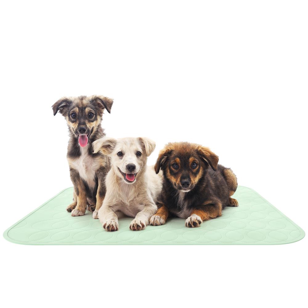 good dog training pads