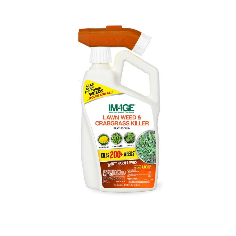 IMAGE 32 oz. Lawn Weed and Crabgrass Killer Rts100526911 The Home Depot