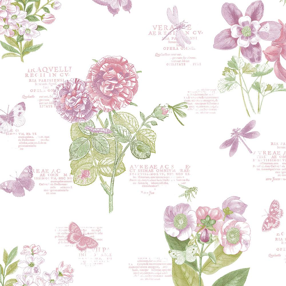 Norwall Pink Purple And Green Botany Floral Wallpaper Pa34249 Images, Photos, Reviews