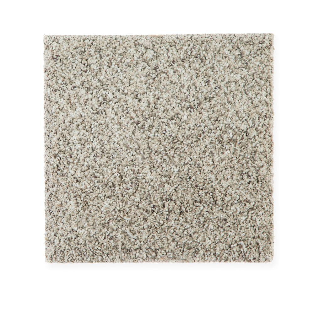 PetProof Carpet Sample Maisie II Color Minimal Grey Texture 8 in. x