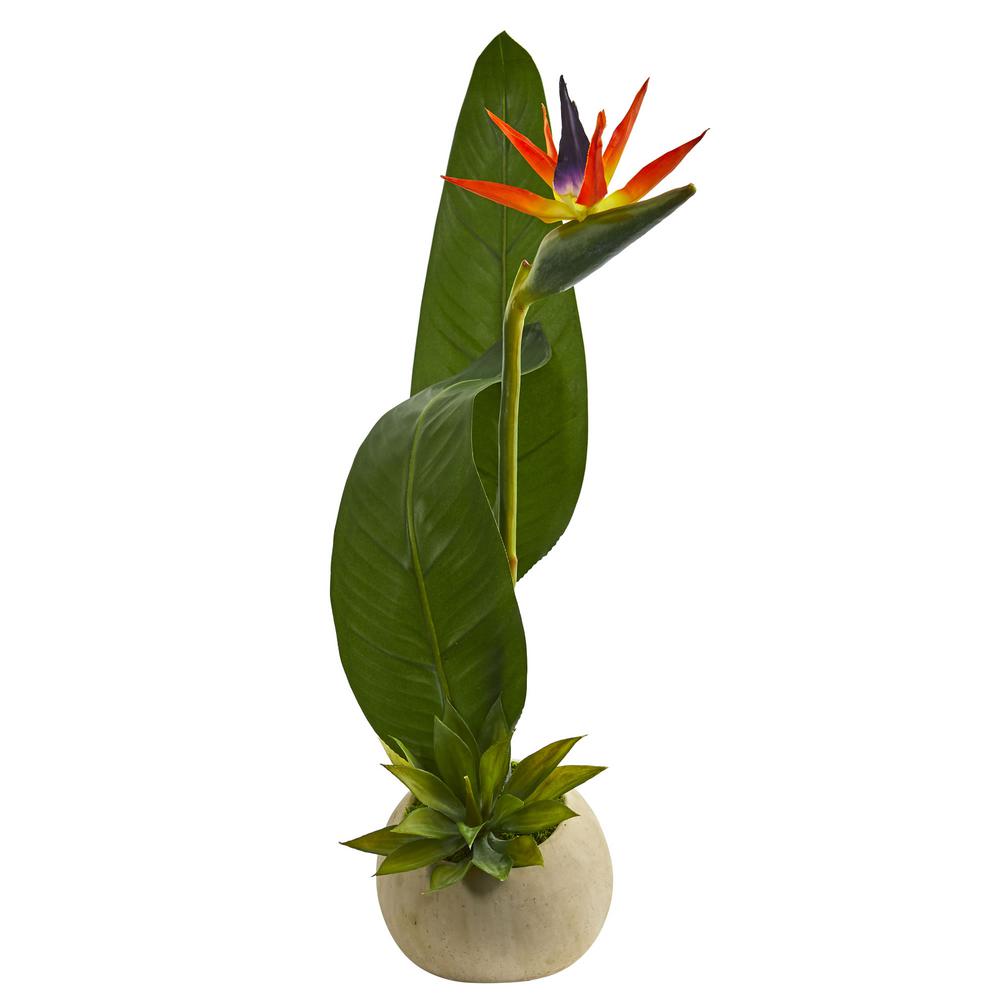 23 In Indoor Bird Of Paradise And Succulent Artificial Arrangement