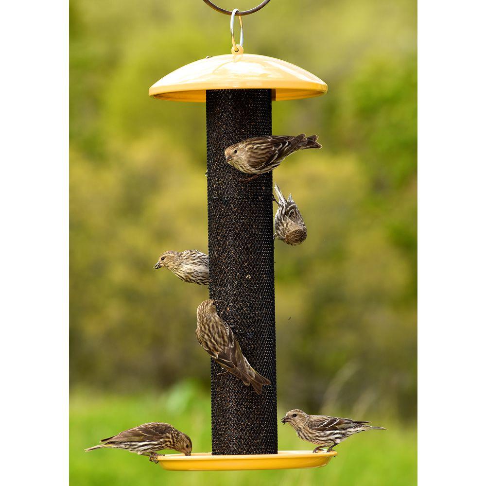 No No Yellow Straight Sided Finch Tube Hanging Bird Feeder 1 5