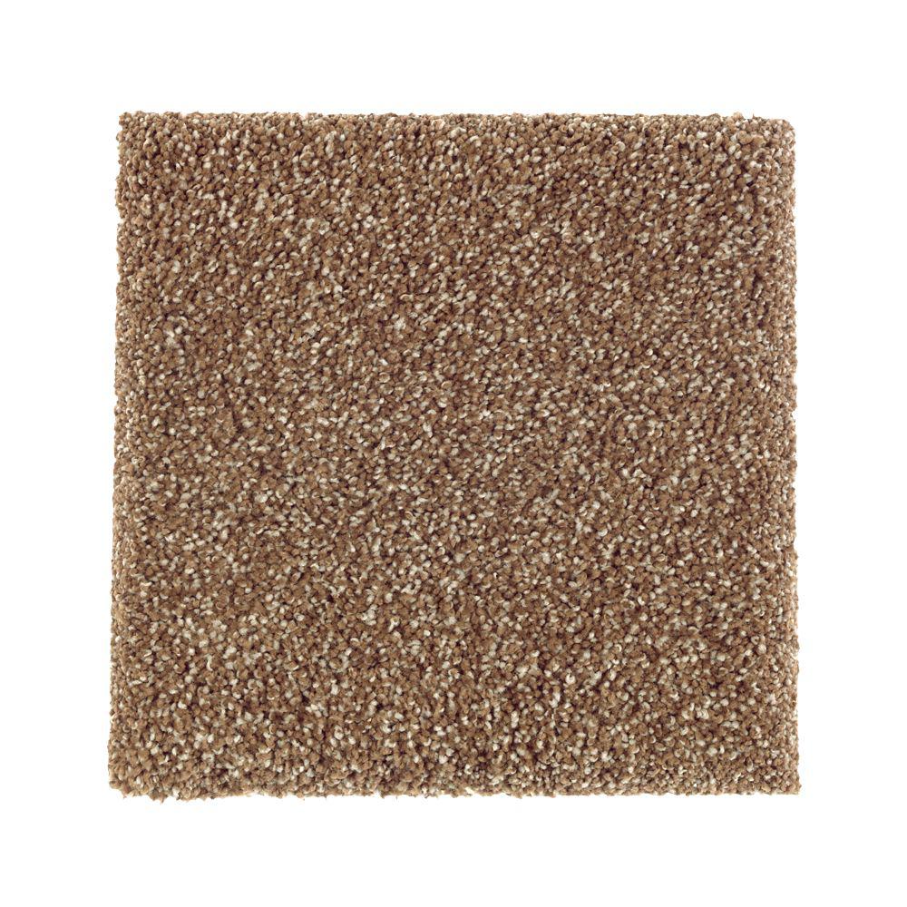 PetProof Carpet Sample - Whirlwind II - Color Montebello ...